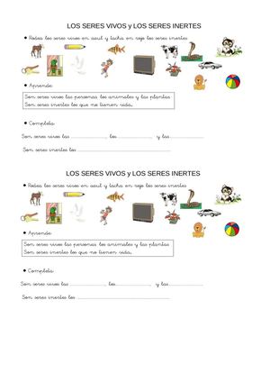 Seres Vivos Seres Intertes