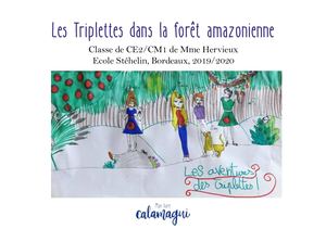 Livre Les Triplettes dans la forêt amazonienne
