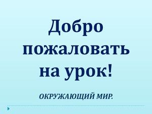Добро пожаловать на урок!