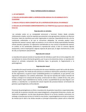 Tema reproducción  de animales Pdf