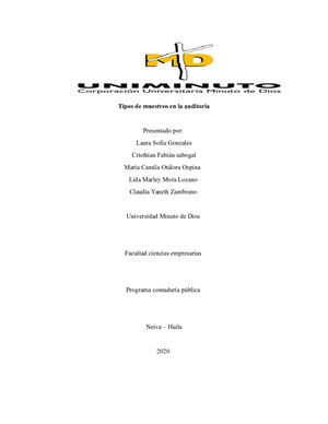 Seleccion De Muestreo En La Auditoria