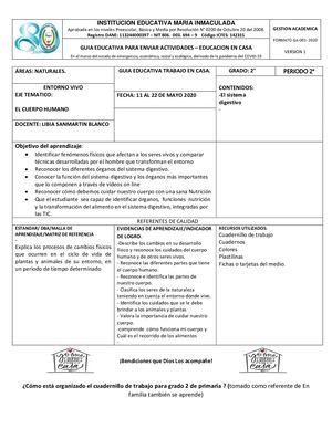 Sistema Digestivo 2°