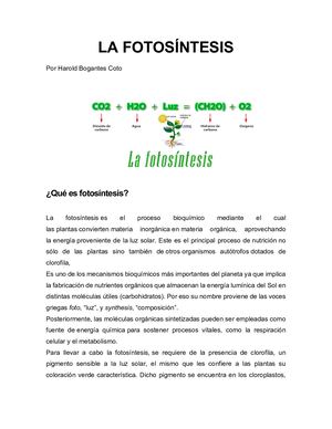 La Fotosíntesis Etapas