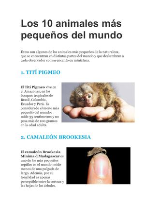 Los 10 Animales Más Pequeños Del Mundo
