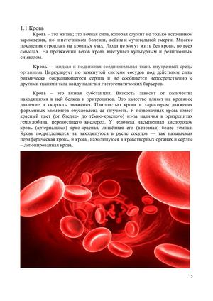 кровь