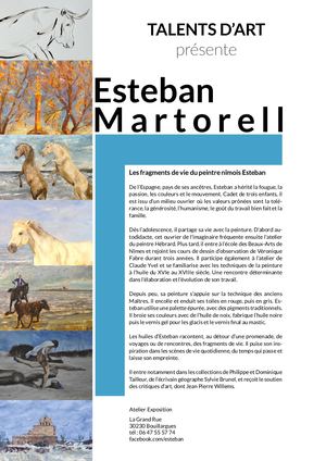 Plaquette de présentation Esteban