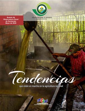 Boletin 04 Observatorio Rural