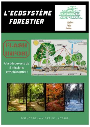 L'écosystème Forestier