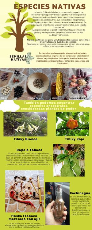 Especies Nativas (1)