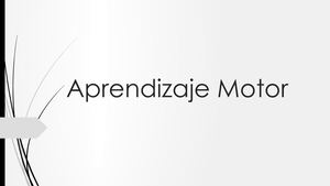 Aprendizaje Motor