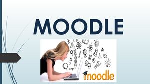 Moodle (7)