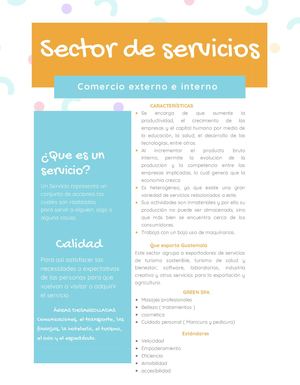 Sector De Servicios