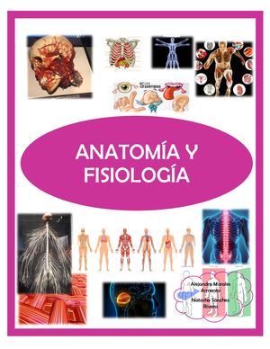 Anatomía y fisiología