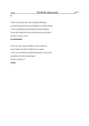 Portrait Araucan Louis 5ème4