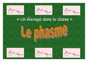 Projet Phasme à La Maison