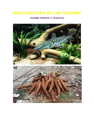 Tejido en los seres vivos