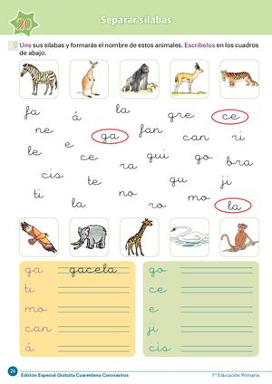 Coronavirus 1 Primaria 26 Fusionado