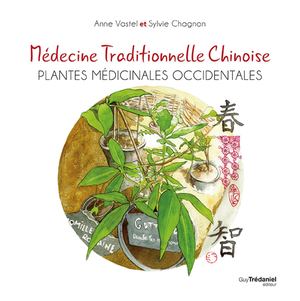 Médecine traditionnelle chinoise, Sylvie CHAGNON, Anne VASTEL [Extrait]