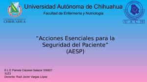 “Acciones Esenciales Para La Seguridad Del Paciente”