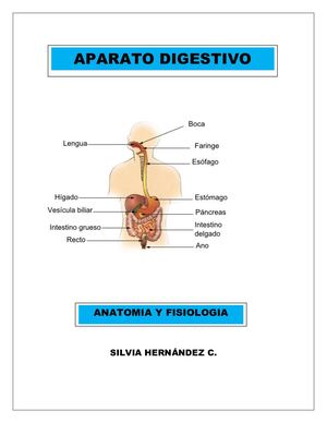 Calameo Aparato Digestivo