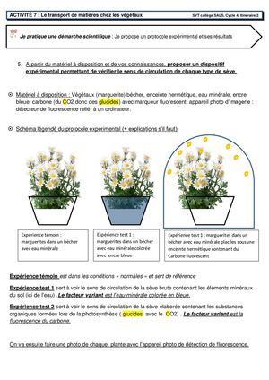 Correction Activité 7(2)