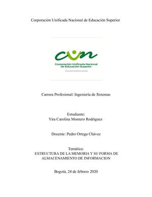 Estructura De La Memoria Y Su Forma De Almacenamiento De Informacion