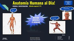 Revista Digital Sistema Muscular Humano Isaac Pérez Touceda, Jose Daniel Maceiras, Albert, Jose Manuel Neira 2°año Colegio Castelao