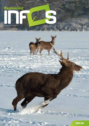 Rambouillet Infos 220 - Hiver 2010