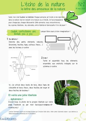 L'écho De La Nature n°2 | Les Libellules