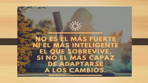 Como realizar un seminario