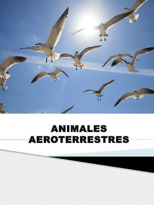 ANIMALES AEROTERRESTRES
