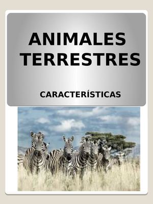 ANIMALES TERRESTRES