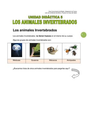 6Los Invertebrados (Unidad 5).