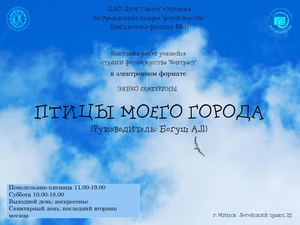 Птицы моего города