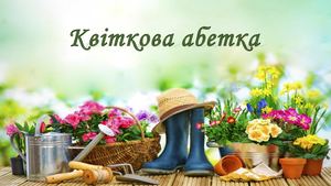 Квіткова абетка. "А"