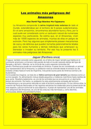Los Animales más Peligrosos del Amazonas