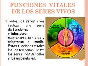 Funciones Vitales y de Nutrición