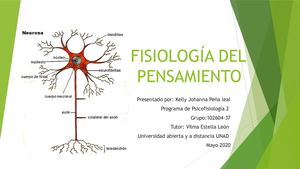 Psicofisiologia Del Pensamiento