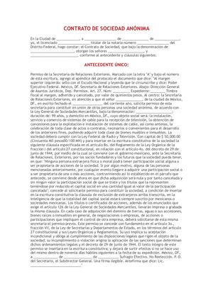 Acta Constitutiva Sa