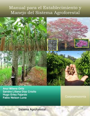 Paso 7 Manual Del Sistema Agroforestal
