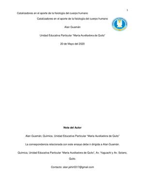 Catalizadores En El Aporte De La Fisiologia Del Cuerpo Humano