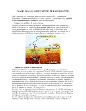 Componentes De Un Ecosistema