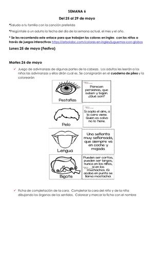 DOCUMENTO DE TRABAJO Del 25 Al 29 De MAYO