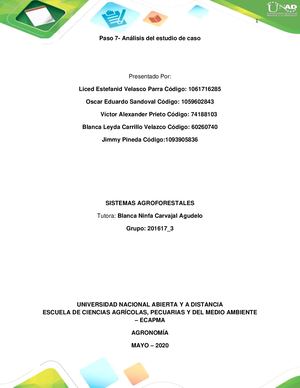 Paso 7 Análisis Del Estudio De Caso