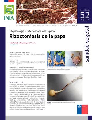 Ficha 52 Rizoctoniasis De La Papa