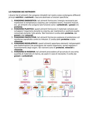 Le Funzioni Dei Nutrienti