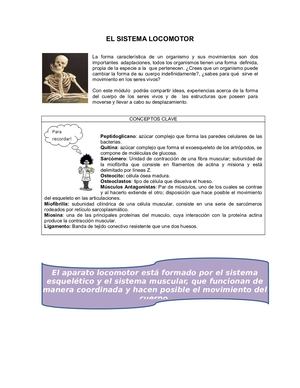 Cartilla Biología 7