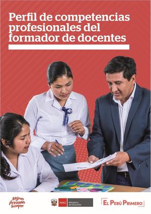 Perfil De Competencias Del Formador Docente