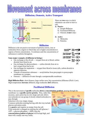 Diffusionrevision