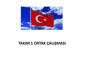 Ortak çAlışma Takım 1